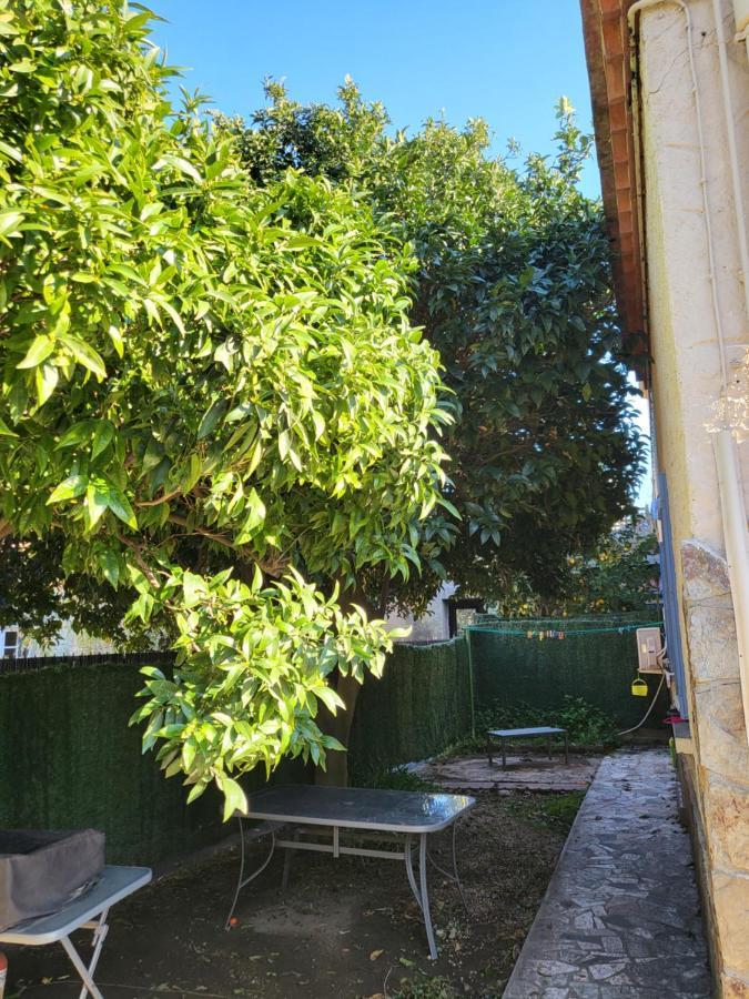 Clementine Apartment Collioure Ngoại thất bức ảnh